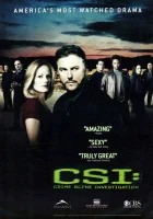 смотреть онлайн CSI: Место преступления Лас-Вегас сериал 1-15 сезон бесплатно в HD 