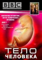смотреть онлайн BBC: Тело человека сериал 1 сезон бесплатно в HD 