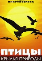 смотреть онлайн Птицы: Крылья природы сериал 1 сезон бесплатно в HD 