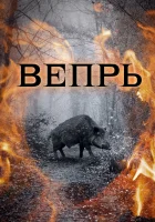 смотреть онлайн Вепрь сериал 1 сезон бесплатно в HD 