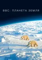 смотреть онлайн BBC: Планета Земля сериал 1-2 сезон бесплатно в HD 