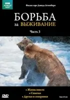 смотреть онлайн BBC: Борьба за выживание сериал 1 сезон бесплатно в HD 