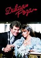 смотреть онлайн Дикая роза сериал 1 сезон бесплатно в HD 