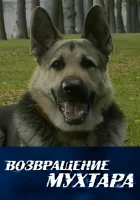 смотреть онлайн Возвращение Мухтара сериал 1-10 сезон бесплатно в HD 
