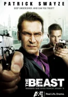 смотреть онлайн Зверь сериал 1 сезон бесплатно в HD 