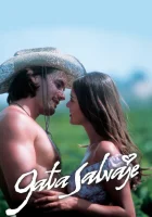 смотреть онлайн Дикая кошка сериал 1 сезон бесплатно в HD 