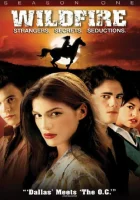 смотреть онлайн Дикий огонь сериал 1-4 сезон бесплатно в HD 
