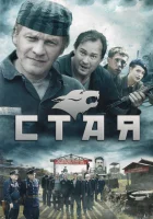 смотреть онлайн Стая сериал 1 сезон бесплатно в HD 